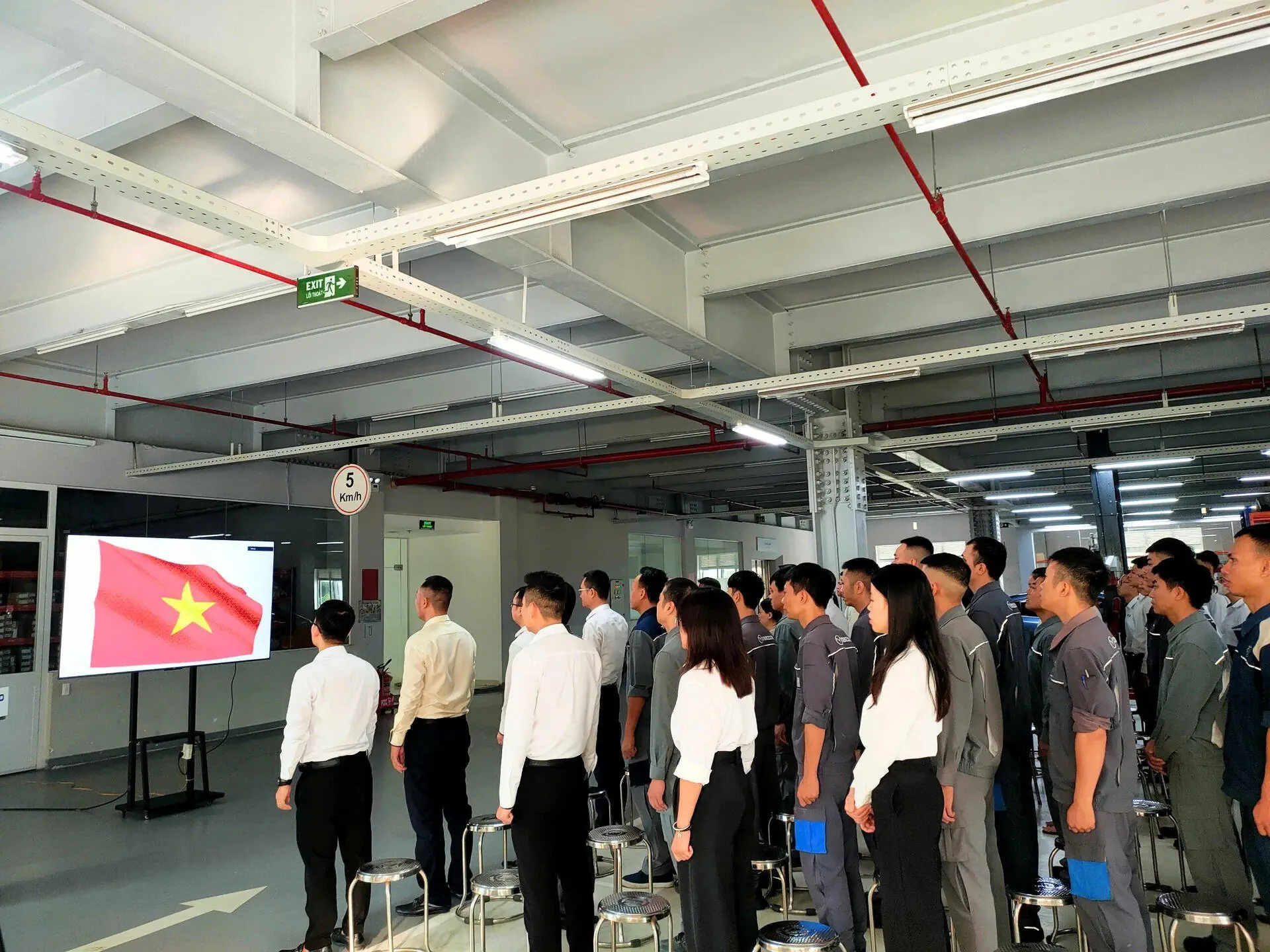Tin tức