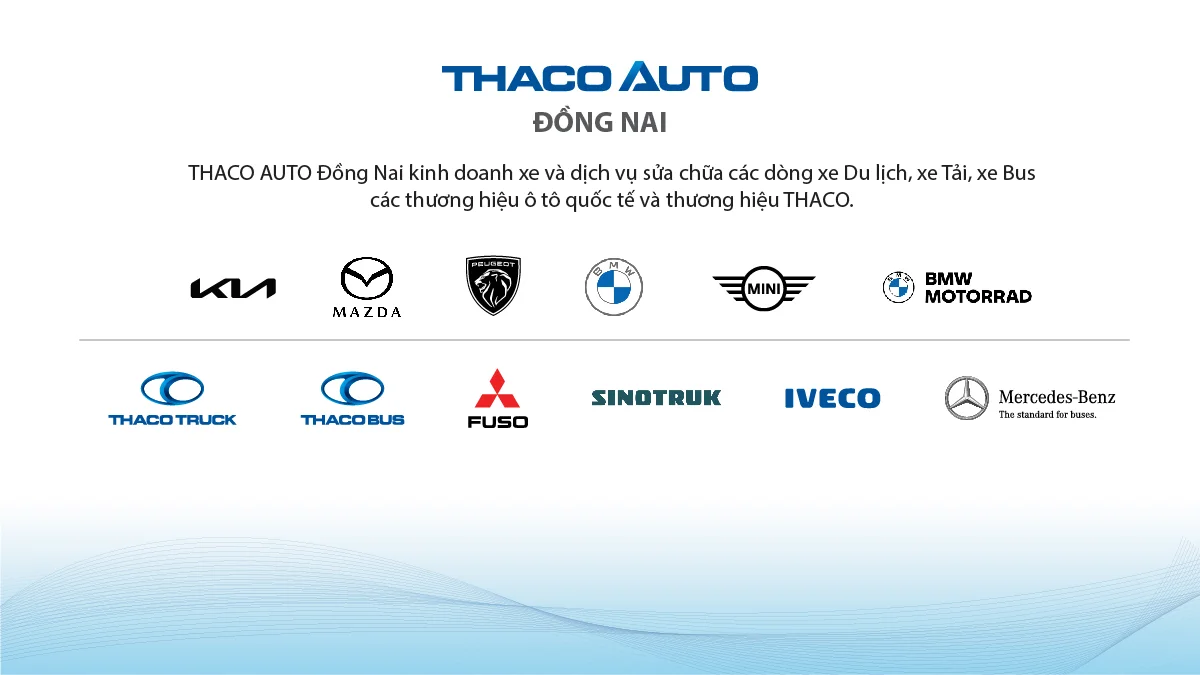 Tin tức