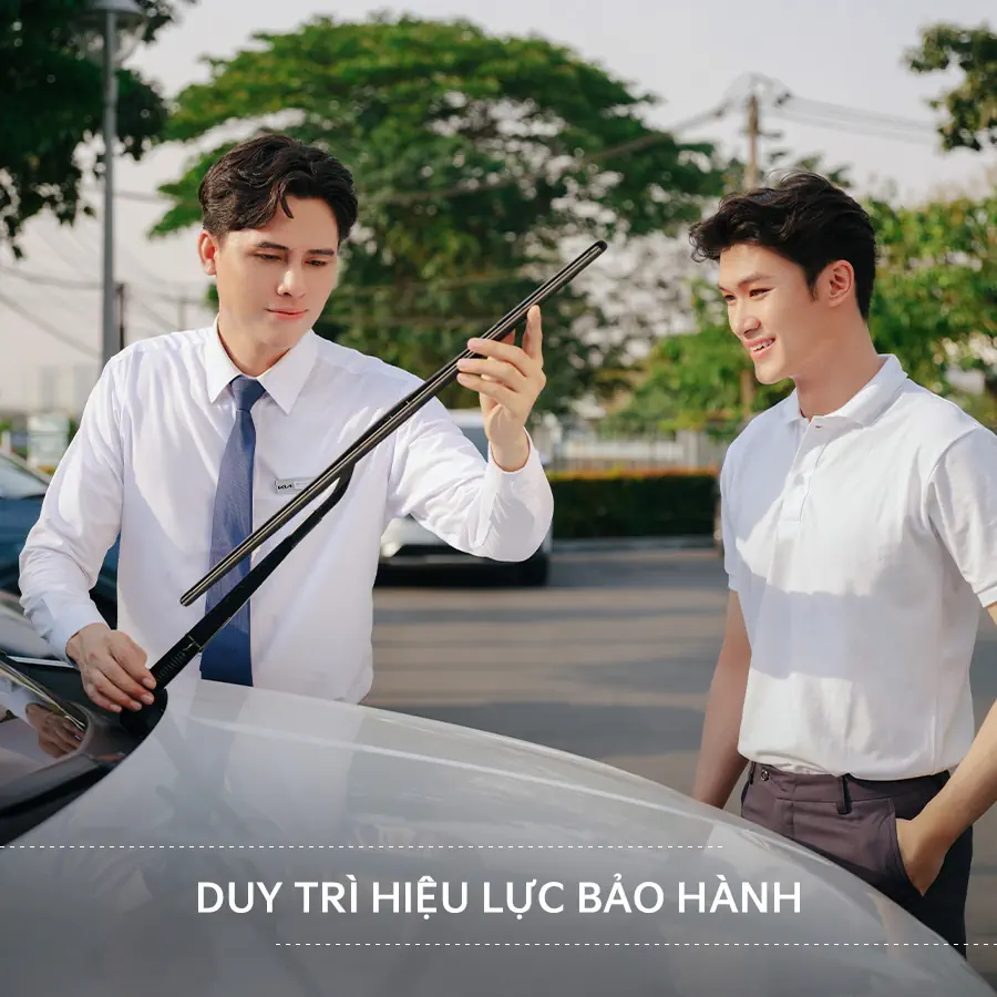 Tin tức