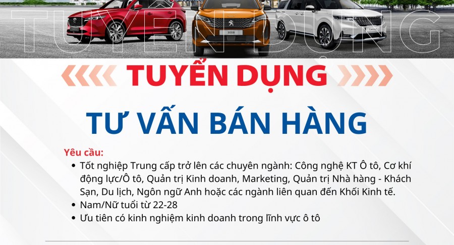 THACO AUTO Gò Vấp tuyển dụng Chuyên Viên Tư Vấn Bán Hàng (Tháng 09/2024)