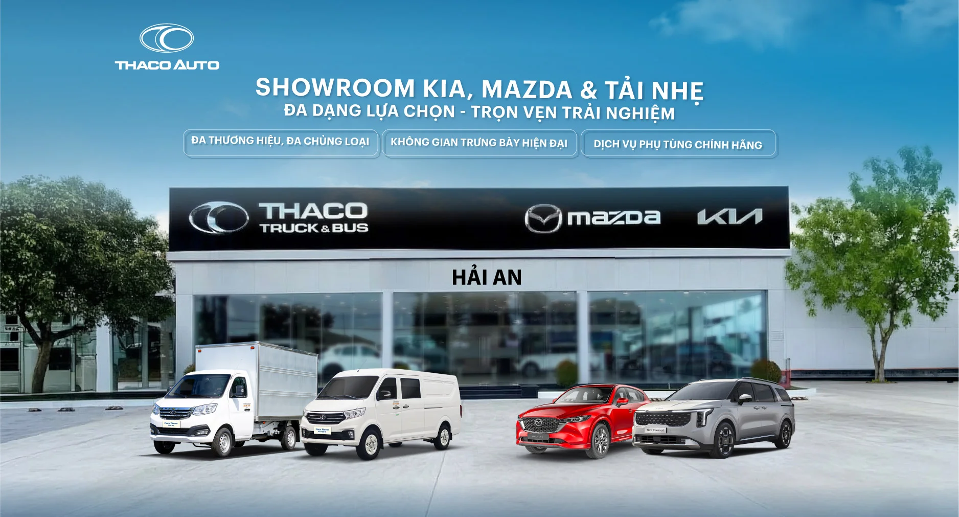 Tin tức
