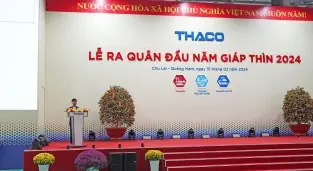 Tin tức