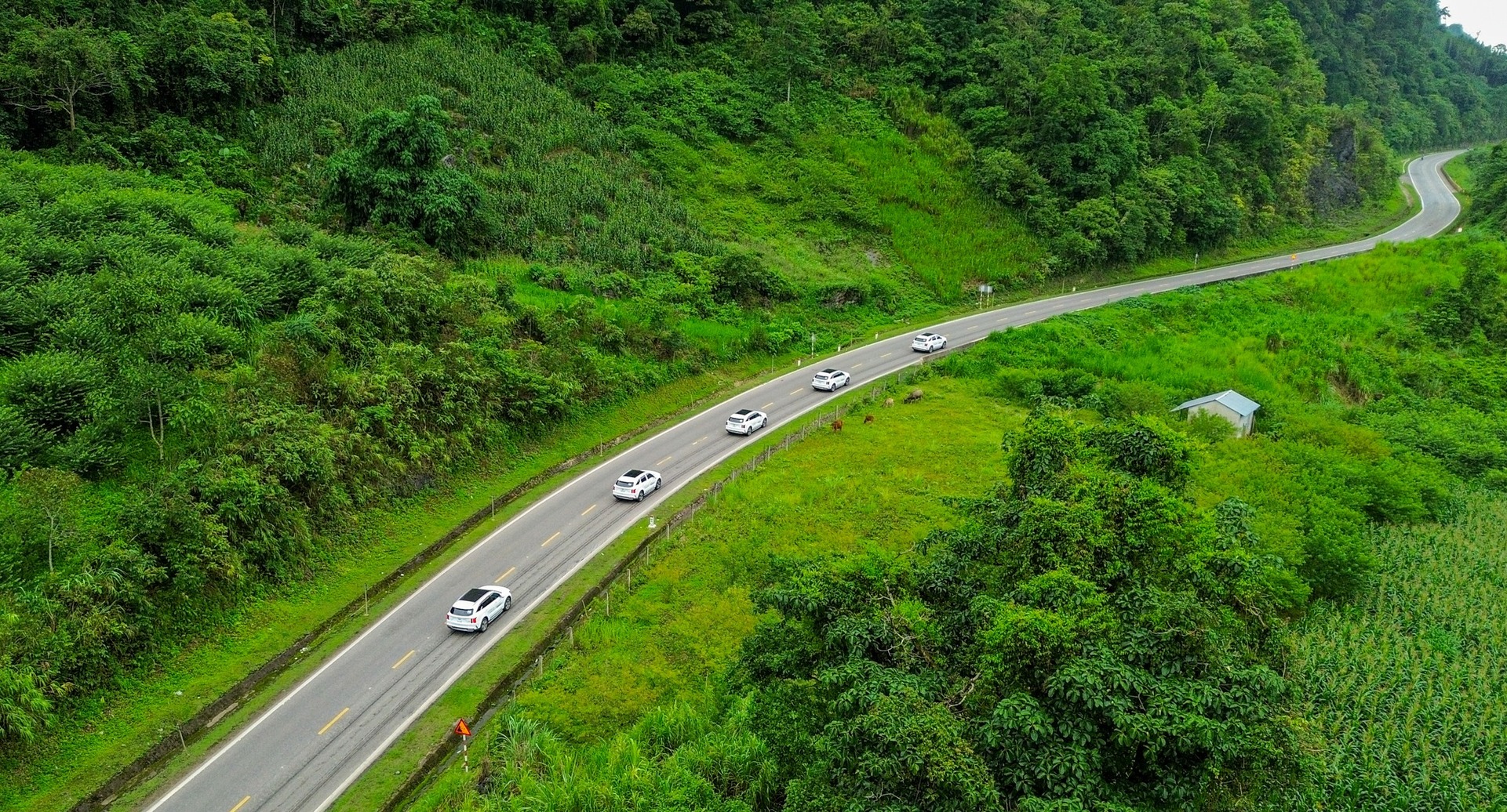 Kia Sorento Hybrid Ha Noi Moc Chau 2