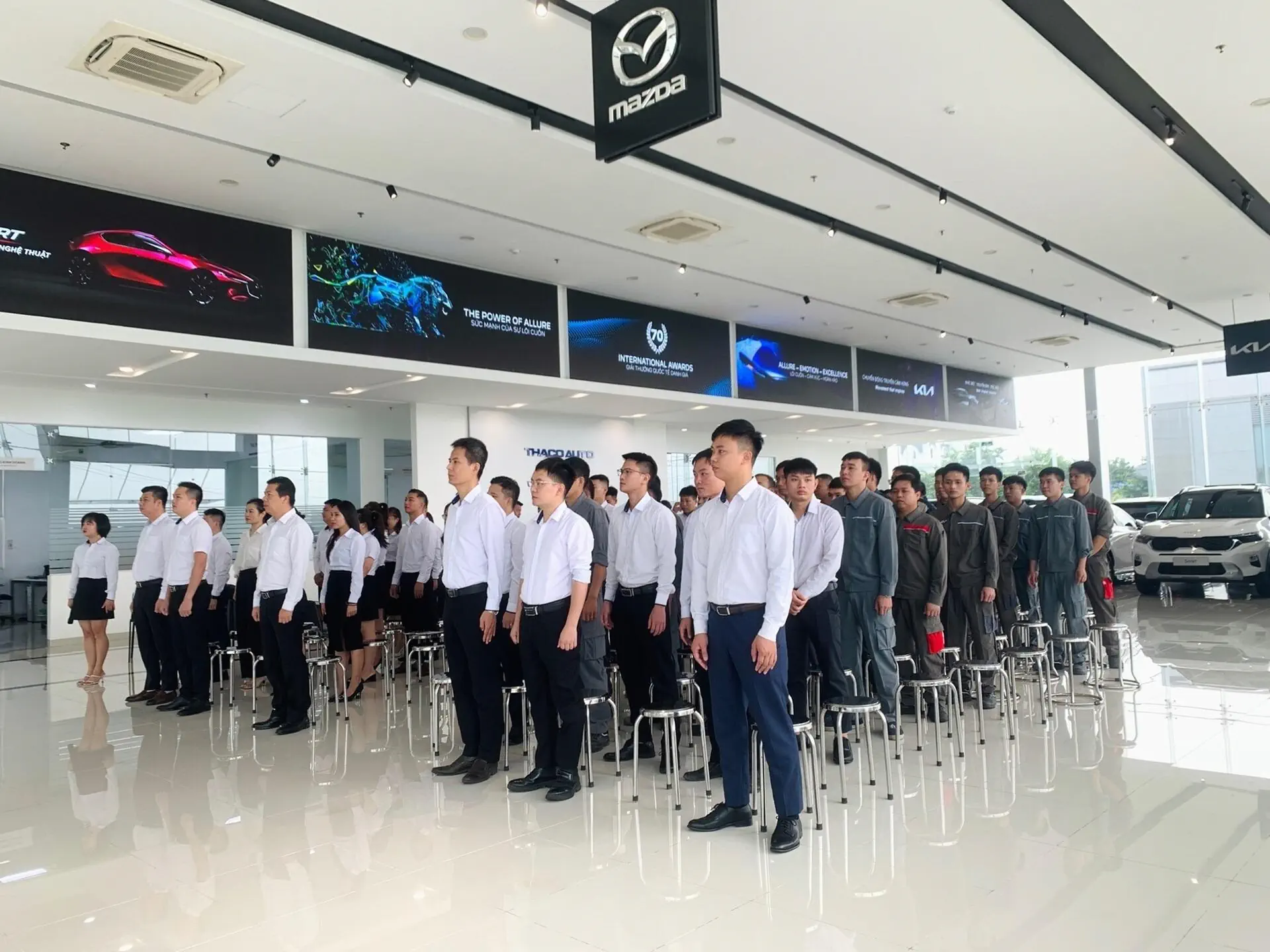 Tin tức