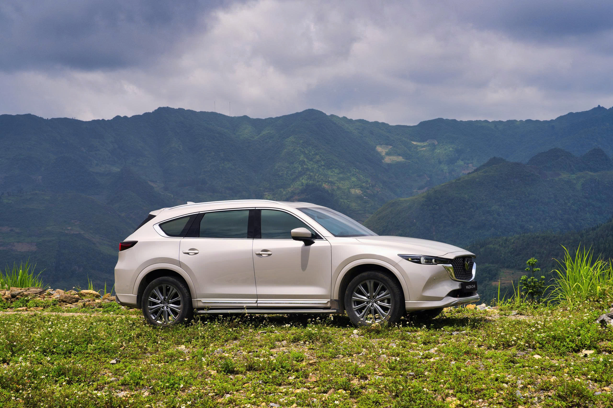 CTBH Mazda CX-8