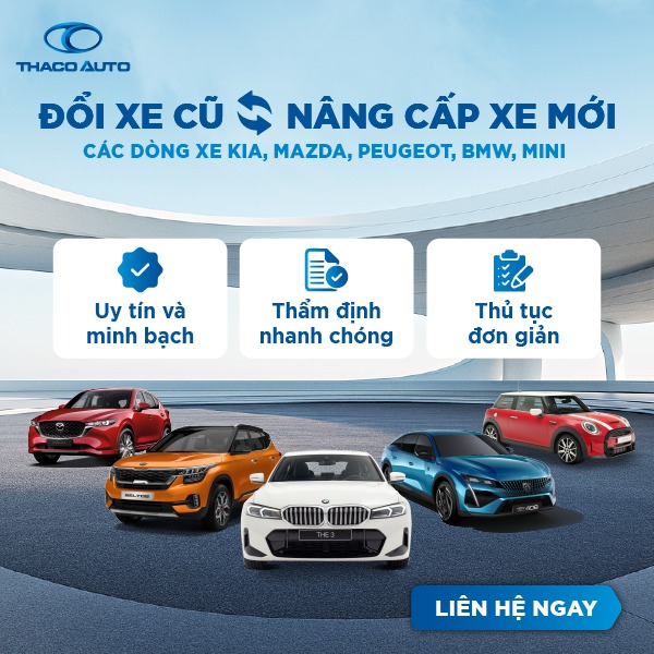 Tin tức