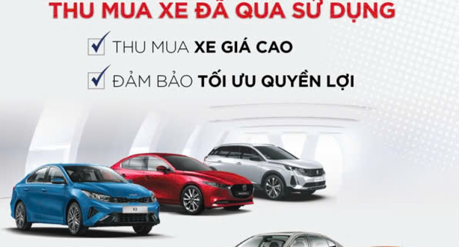 ĐỔI MỚI CÙNG THACO AUTO THANH HÓA- ĐA DẠNG THƯƠNG HIỆU, NÂNG TẦM TRẢI NGHIỆM