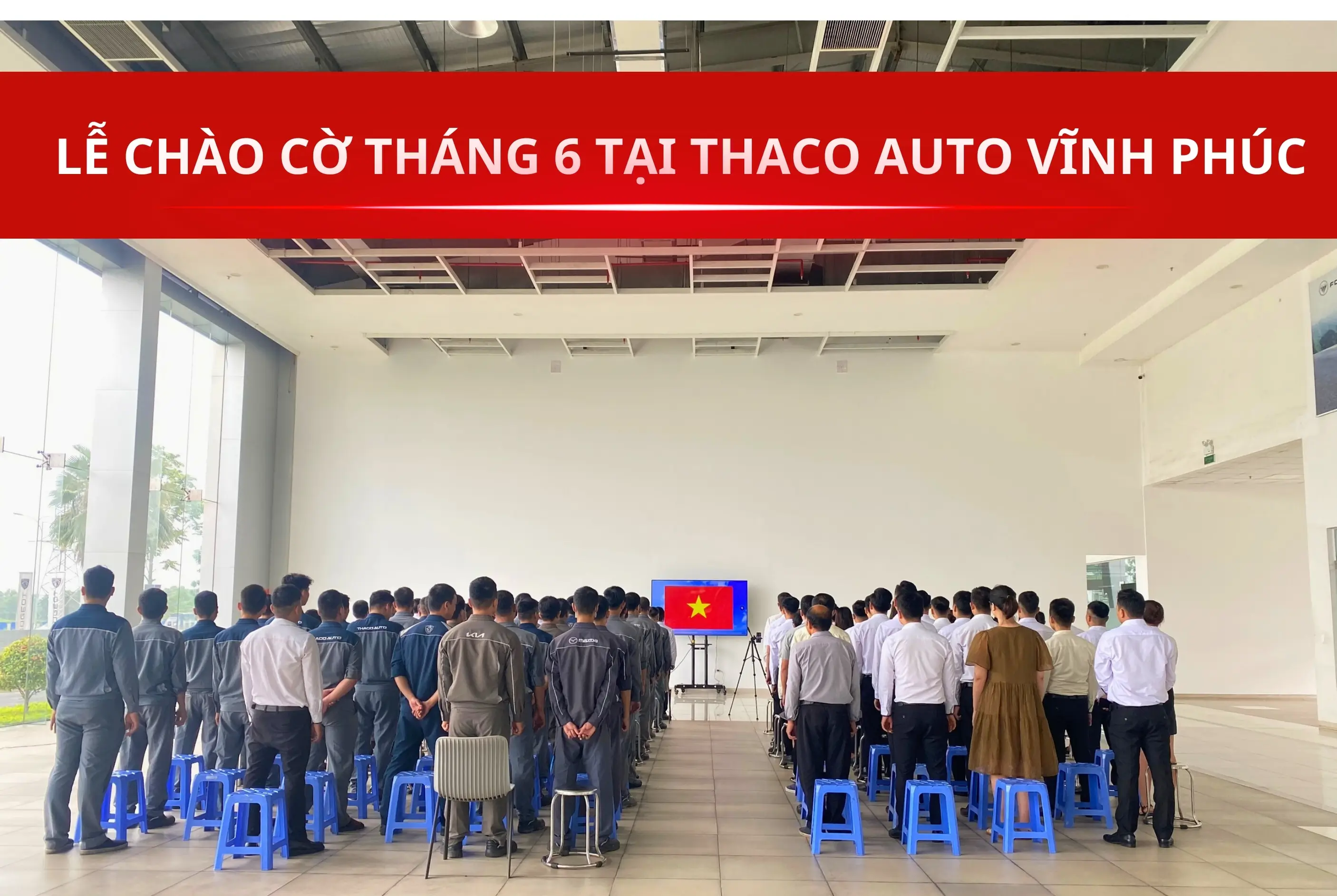 Tin tức