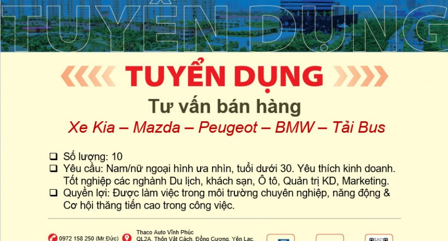 TIN TUYỂN DỤNG | THACO AUTO VĨNH PHÚC TUYỂN DỤNG 10 TƯ VẤN BÁN HÀNG XE KIA - MAZDA - PEUGEOT - BMW - TẢI BUS